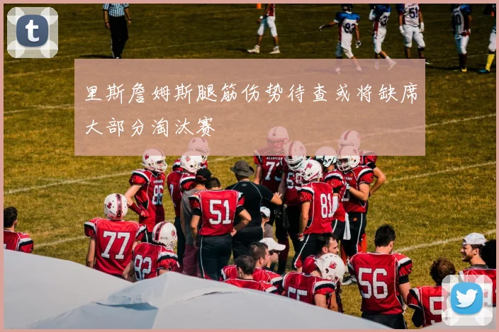 里斯詹姆斯腿筋伤势待查或将缺席大部分淘汰赛